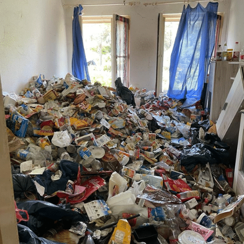 Fallbeispiel Messie Wohnung entrümpeln Bochum Fallbeispiel Messie Wohnung entrümpeln Bochum