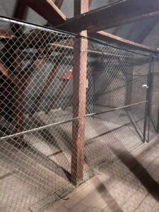 Kellerräumung in 13629 Berlin erfolgreiche Kellerräumung in 13629 Berlin