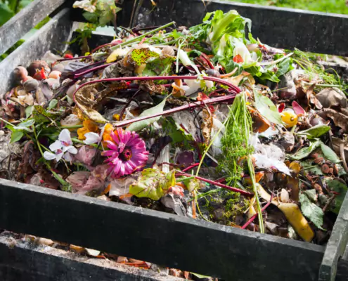 Ratgeber: Wie kompostiere ich richtig