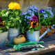 Checkliste für die Gartenarbeit im Frühling